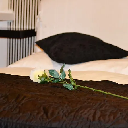 Venezia Otel 3*